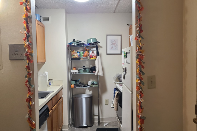 Kitchen area - 1 bedroom apartment