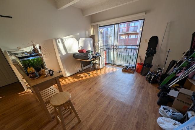 Living Room; it's currently messy because my outgoing housemate is packing and selling stuff but we can decorate the space together!. - Newton Court, International-Friendly, Affordable Grad Housing (OnCampus but sufficiently distanced) Apartments