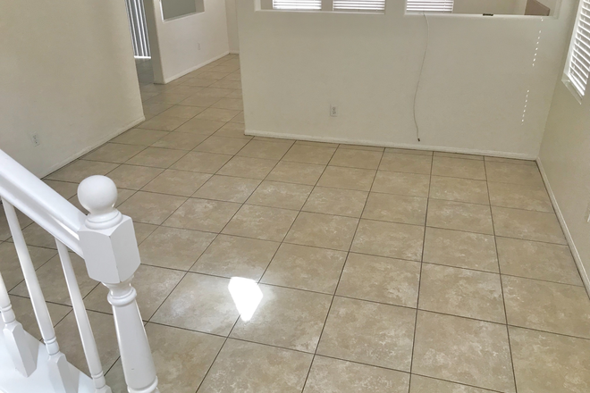 front living room - REDINGTON 4 BEDROOM 3 BATHROOM Modern home - Walk/Bike/Scooter to Campus!