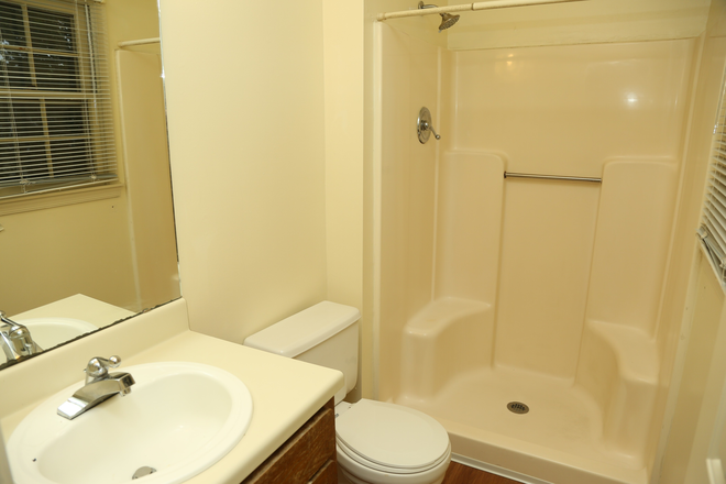 Bathroom - Large 3 Bedroom Home in Minor Hill