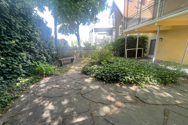 Backyard of the Property - “Apartments for Professionals/students!!! Big and Bright 2BR and 5BR Available Now!!!