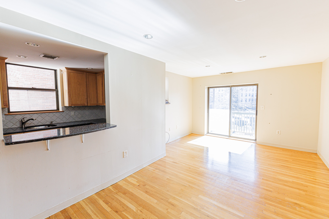 living room - Sunny Fenway 1 bed with in unit laundry, AC, and private deck for 6/1 - NO FEE!