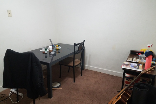 1123 University Apt. B - living room - 2BR basement unit - one block to CU campus Apartments