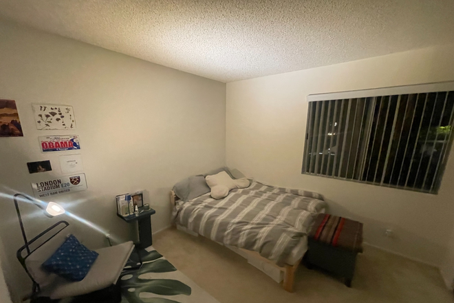 room - San Marcos Apartments