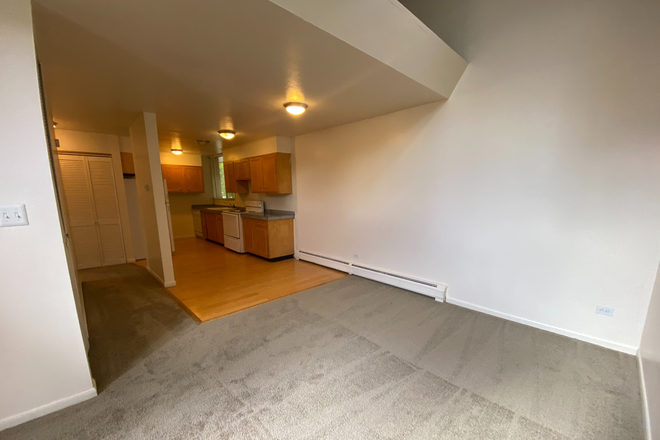 3 - AVAILABLE 8/5: 4550 Laguna Pl #205 Condo