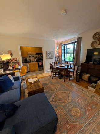 Living Room - August 1! Gorgeous and spacious 1 bed on Strathmore Rd, close to the T and shuttle Condo