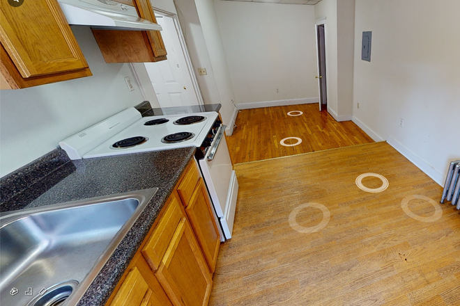 Hub Realty - Handy one bedroom basement level with renovated kitchen and bathroom, close to campus Apartments