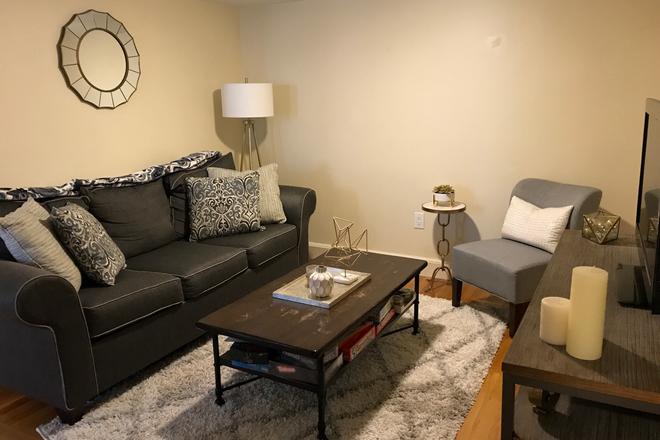 living room - Fenway garden level two bed with updated kitchen for 9/1 - NO FEE! Apartments