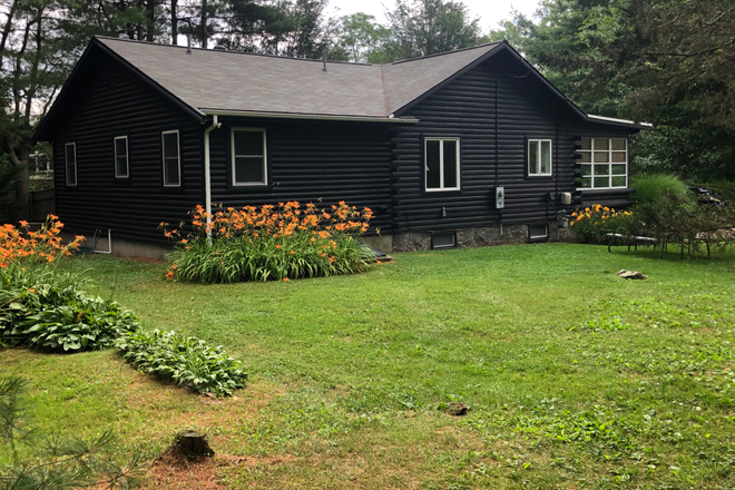 Yard View - Cozy four bedroom two full bathrooms cottage in Bonnet Shores House
