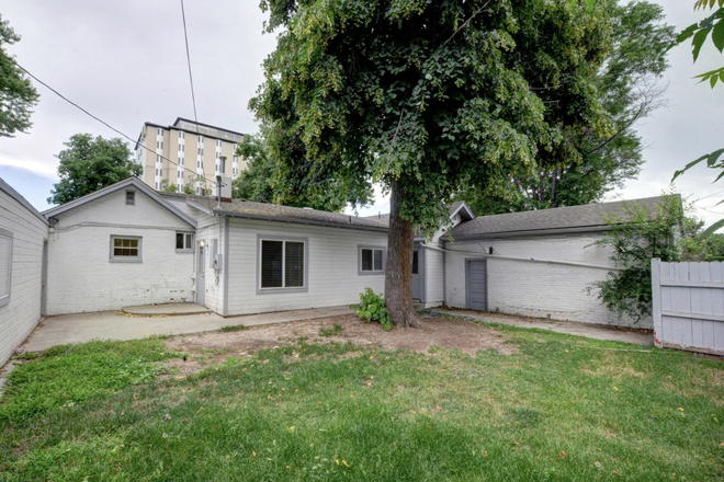 backyard - House next to campus