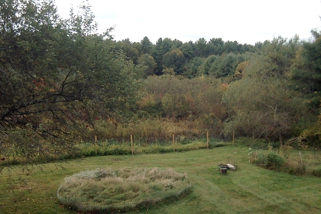 Back yard - Buffam Falls duplex Duplex