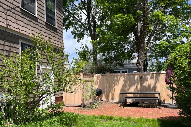 shared garden patio - Bright, Garden-level Furnished Studio Rental near Harvard Observatory Duplex