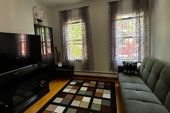 The living room with a new 60'' flat screen TV and an electric fireplace - Furnished summer rental close to campus Apartments