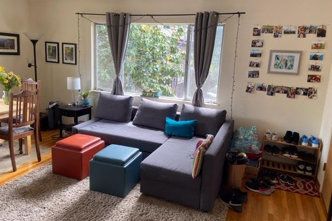 living room - Beautiful Huge Elmwood 1 Bedroom Apartment with separate entrance
