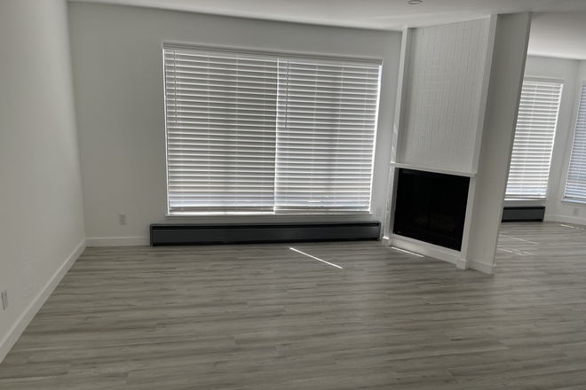 Living room - Modern remodeled 3 bedroom, 2 bathroom apartment near USF