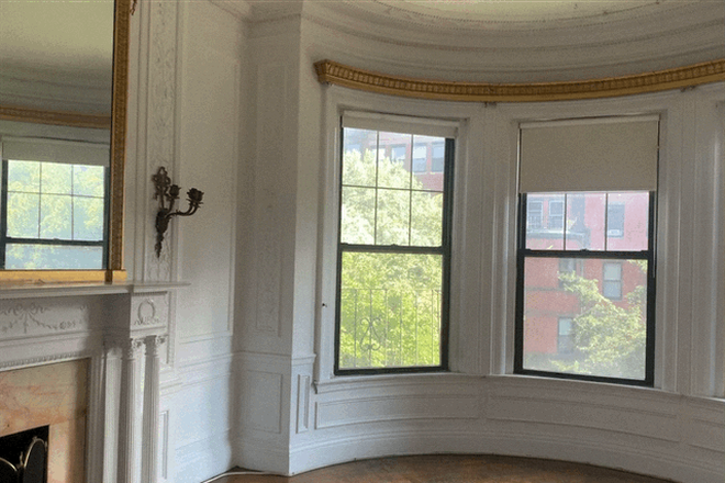 Living Room - Beautiful One Bed on Beacon Street! Available 9/1! Apartments