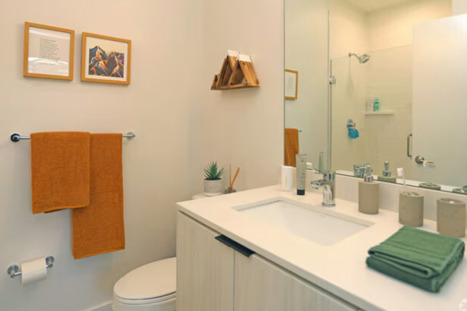 Private Bathroom - Hub Blacksburg Apartments