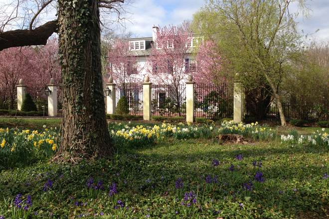 Street View - Christmas Break 2025:Furnished room in home for PU affiliate only-Library Pl-Princeton