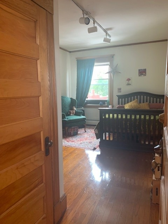 living room - Center of Amherst, gleaming hdwd flrs, high ceilings, skylight, 1 bedroom, 7/1/27 Apartments