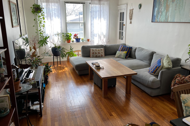 living room - Sunny Brighton 1 bed with balcony for 8/1 - NO FEE! Apartments