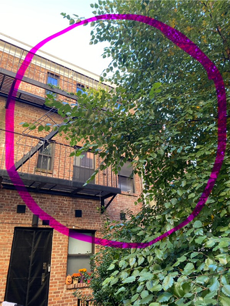 apt is top two floors - East Village duplex: beautiful, peaceful, bright & cheerful. Close to campus Condo