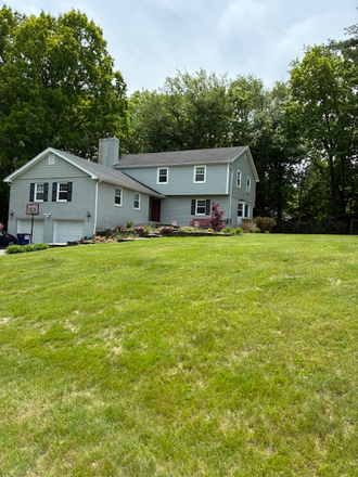 House exterior, large lawn is flatter closer to the house, which is pleasant to enjoy. Trees nearby keep house cool in the fall and spring. - Beautiful House 0.4 miles to Campus! Bus, Parking! Friendly Dog! (All the love&no work!)