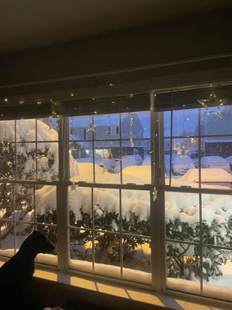 View from living room window - University Townhomes at Charlotte