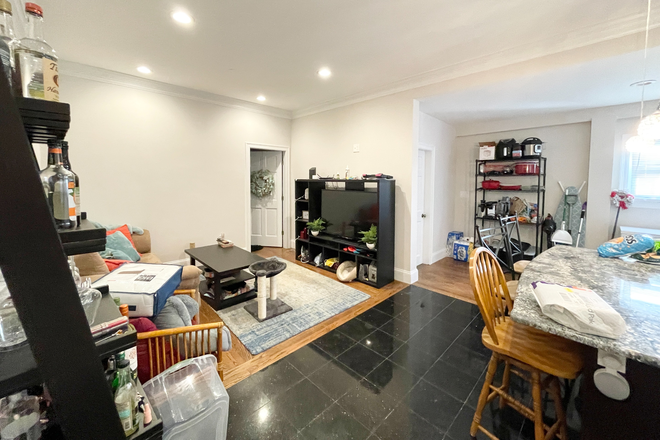 Livingroom - 32 Sumner St., #1, Boston, MA 02125 (Dorchester) Apartments