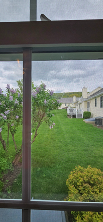 your view out of bedroom - Beautiful Condo to Live in Elders home in case of an emergency after 8 pm