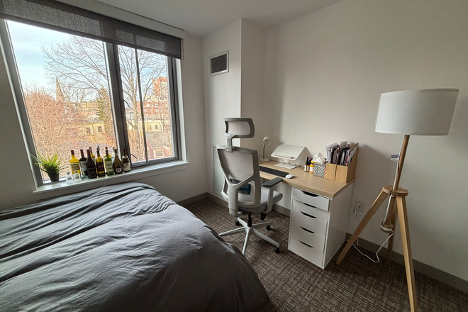Bedroom - Summer studio in Harvard Housing with A/C (5 Cowperthwaite, Harvard Sq) Apartments