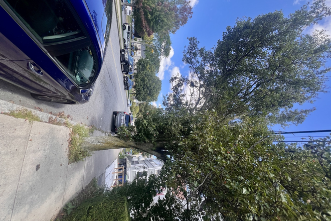 Outside Street View - SUBLET! on-campus, <5 min to bus, <6min to train, in front of Duplex