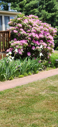 Beautiful Flowers Well Managed - Quiet Country Setting, Close to everything, Heat Included Apartments