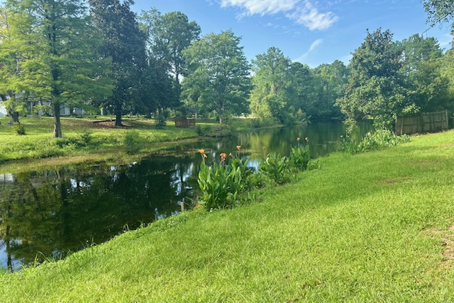 View of pond from the back yard. - 3 bedroom 2 Bath,  Big Yard Overlooking Stocked Pond House