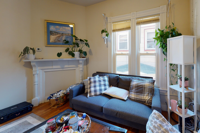 Living Room - September 1, great price for a 4 bed in East Boston, right off Meridian St! Apartments