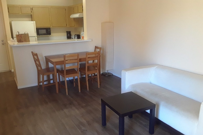 Living Room - Walking distance to the UCSD campus, 1 br