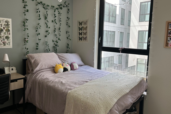 Bedroom - Cheap Apartment Close to Campus!