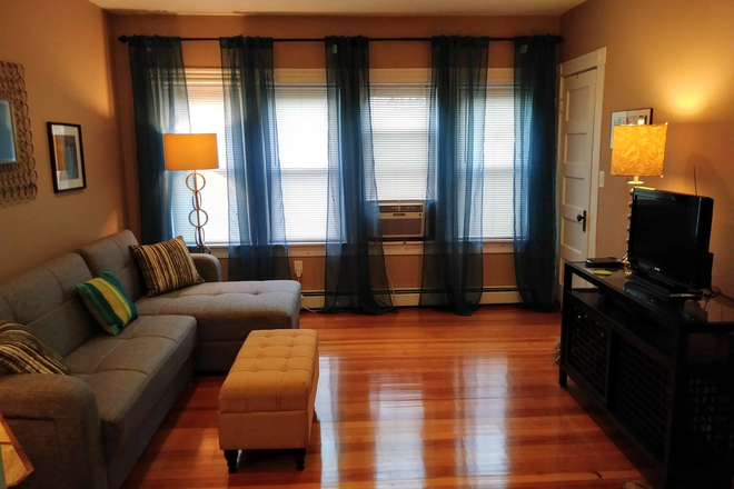 Living Room - Entire 1BR Apt / Furnished / Includes Heat & Hot Water. Easy access to BU Med Ctr (BUMC)