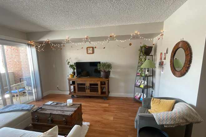 Living Room - Shared North Boulder Apartment