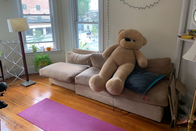 Sunny living room - Deluxe, Sunny and Spacious 4 Bedroom minutes to Harvard , MIT and Red Line! Apartments