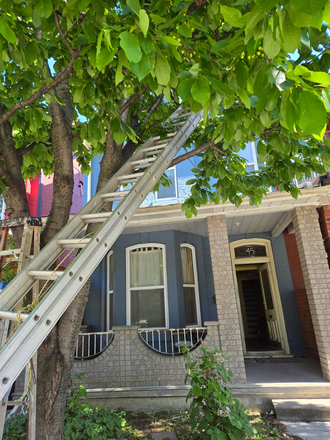 Cherry tree provides a cooling aspect to this two story house. Upper floor is available for rent. - Spacious 1 bedroom Apartment (Kensington-College&Spadina.