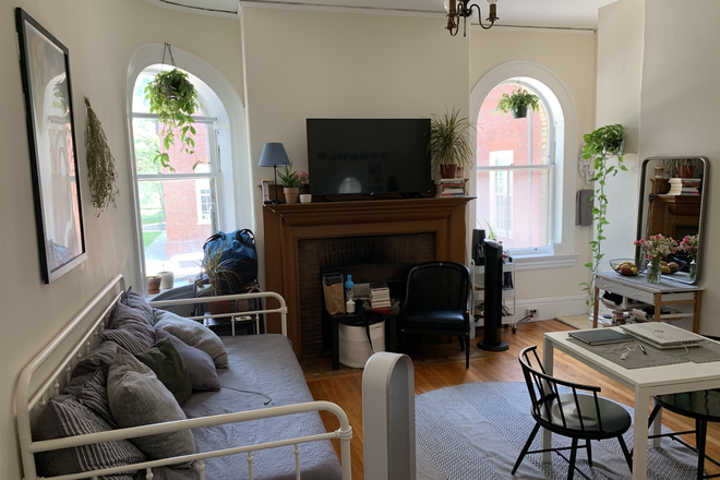 livingroom - HARVARD SQ WARE ST - HARVARD ST 1 BED MOVE IN ***MAY 1ST**