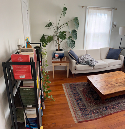 Living room - Furnished room in shared 2BR apt for female only-Wiggins St-Princeton