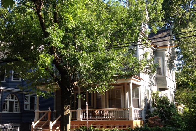Summer, outside view of house - Single Family House close to T and Campus