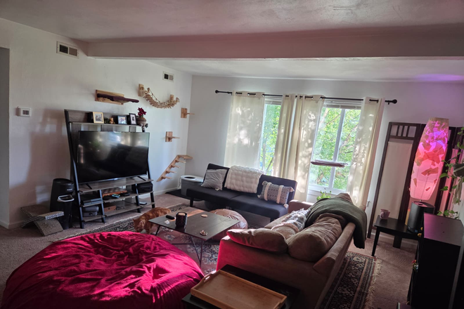 Living Room - cascades point