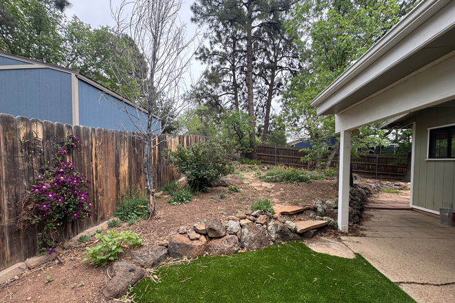 Backyard - Beautiful, spacious home with cozy private room and bathroom
