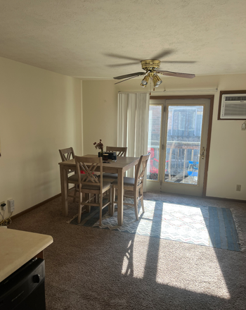 Living Room - 2 bed 1 Bath Spring Sublease for $900/Month Including Utilities Apartments
