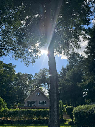 Large deck with double huge deck (currently being furnished) - Lake front beauty, 3 bedroom, 2 kitchen, private beach ! Newly renovated, gorgeous yard