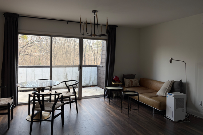 Living room - Looking for a roommate (female)! 2B2B Harwood Condo for Spring semester lease / whole year leas