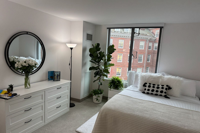 Bedroom - The bedroom is large. - Harvard Housing - Clean, Bright, and Airy - 2BR (or 1BR + office) furnished apartment