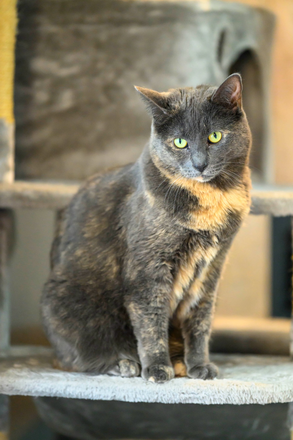 cat 2 - 2 second floor rooms within 3 minute walk of JCC House